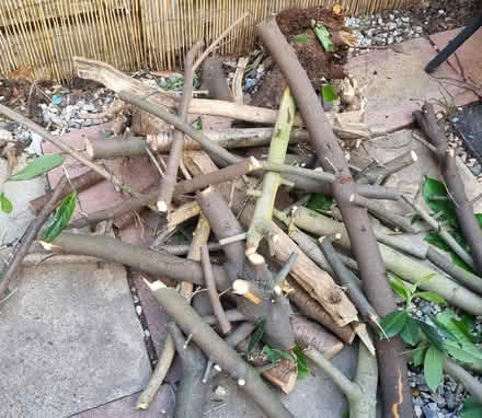 Photo of free Fire wood (Wood Green N22) #1