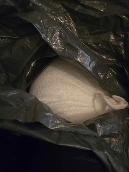 Photo of free Bag of bean bag beans (Chapeltown S35) #1