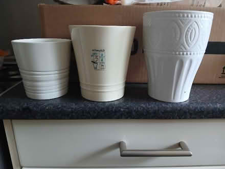 Photo of free x3 ceramic orchid pots (Biggleswade) #1