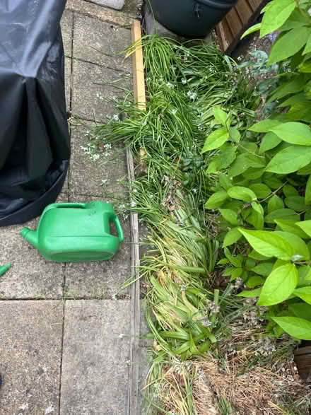 Photo of free Garden bits (Milton road, Cambridge) #1