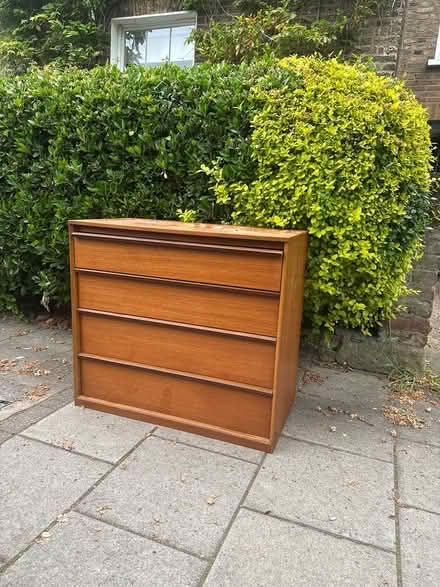 Photo of free Small chest of drawers (N16 0ba) #1