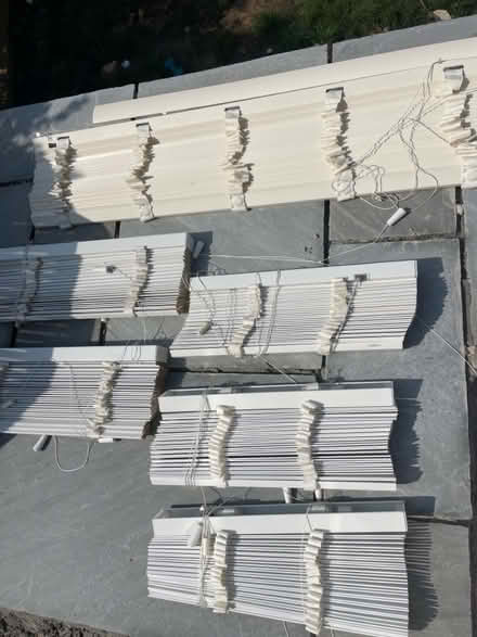 Photo of free Blinds (Shoreham-by-sea) #2