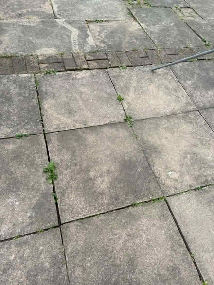 Photo of free Paving slabs (Richmond TW9) #1