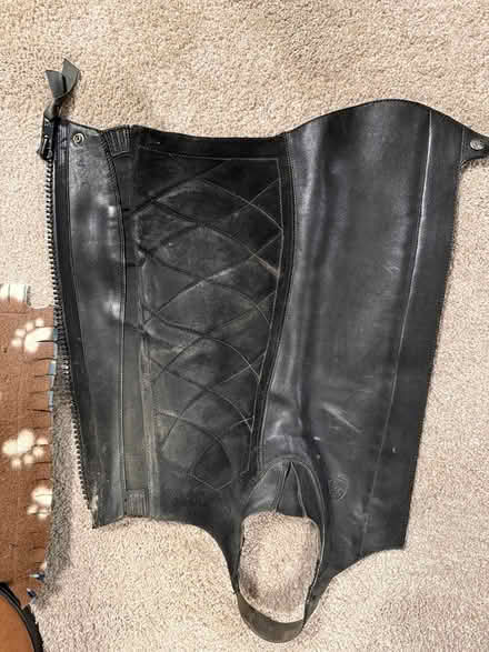 Photo of free Ariat leather half chaps (Ballard) #3
