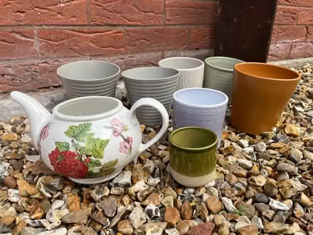 Photo of free Indoor plant pots (CH43) #1