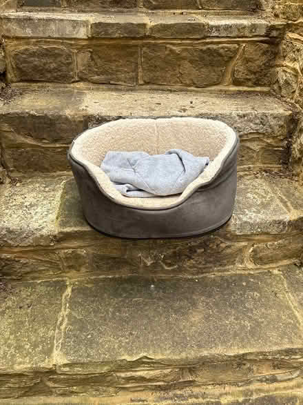 Photo of free Dog bed and puppy carrier (Godalming area GU7) #1