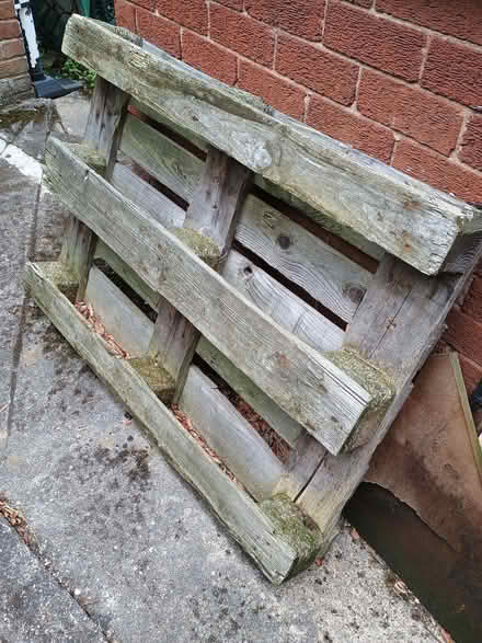 Photo of free Logs and a pallet (Handbridge CH4) #3