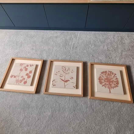 Photo of free Set of pictures (Killester, Dublin 5) #1
