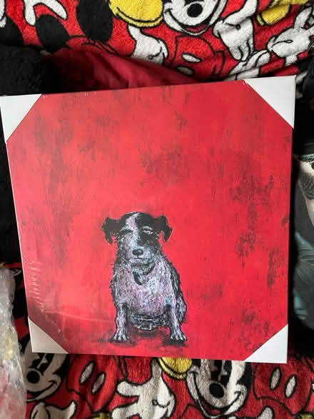 Photo of free Print of small dog (Camberwell SE5) #1