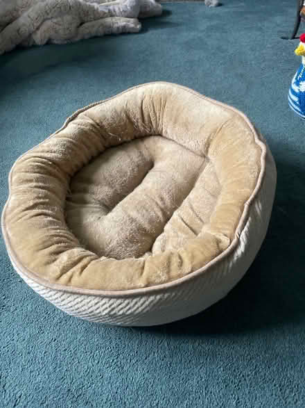 Photo of free Cat basket (MK4 Tattenhoe) #1