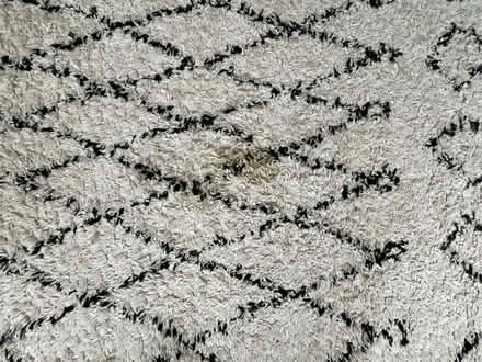 Photo of free Floor rug (Northfields) #2