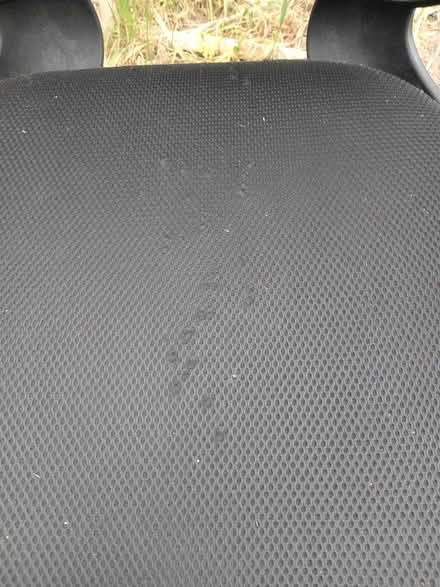 Photo of free Office chair (Lower Morden SM4) #3