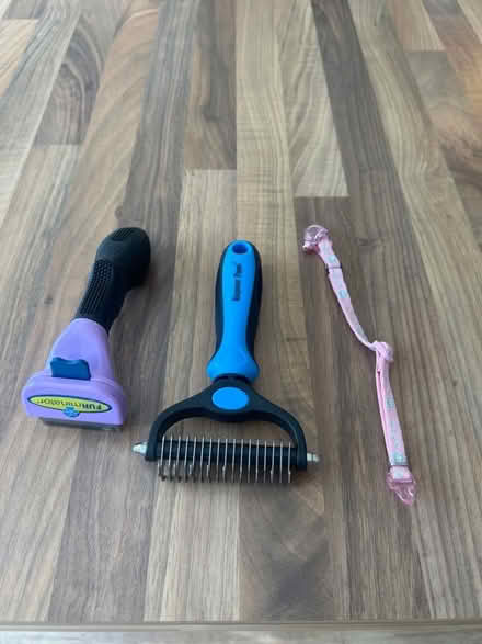 Photo of free 2 pet brushes and kitten collar (Barry CF62) #1