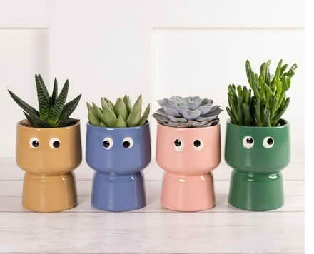 Photo of Sainsbury's plant pot with face (Harrogate HG2) #1