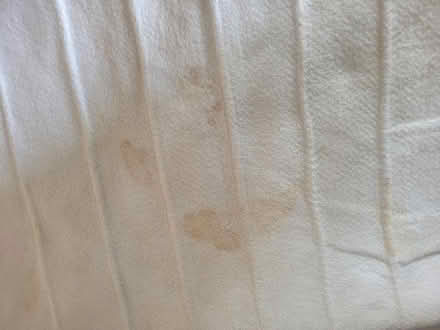 Photo of free Silent night electric blanket (Bitterne Park SO18) #3