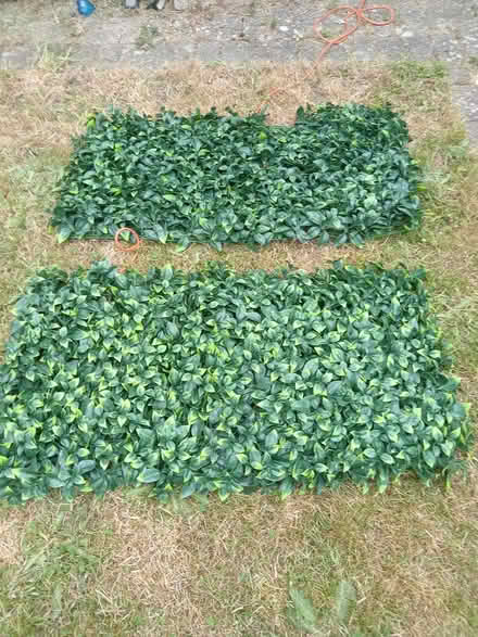 Photo of free Fake foliage panels (Lower Morden SM4) #1