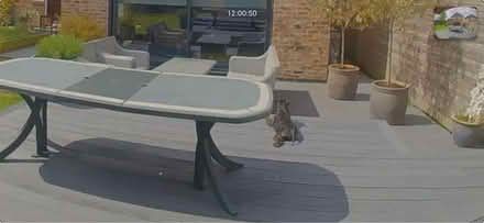 Photo of free Garden table (Wilmslow) #1