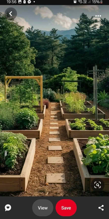Photo of Allotment stuff (Williton) #1