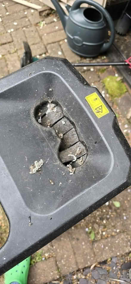 Photo of free Garden impact shredder (Hook, RG27) #4