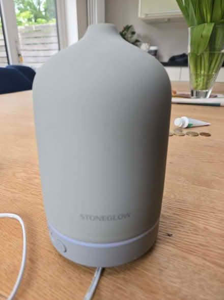 Photo of free Electric diffuser (South Ascot SL5) #1