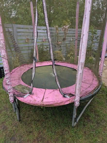 Photo of free 5ft trampolene, pink (Warcop CA16) #2