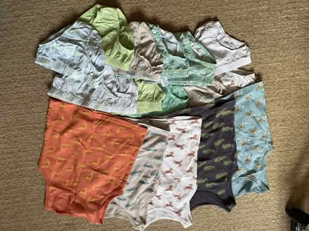 Photo of free 5 x vests, 12 underpants, 2-3 year-old. (Woodlands TW7) #1