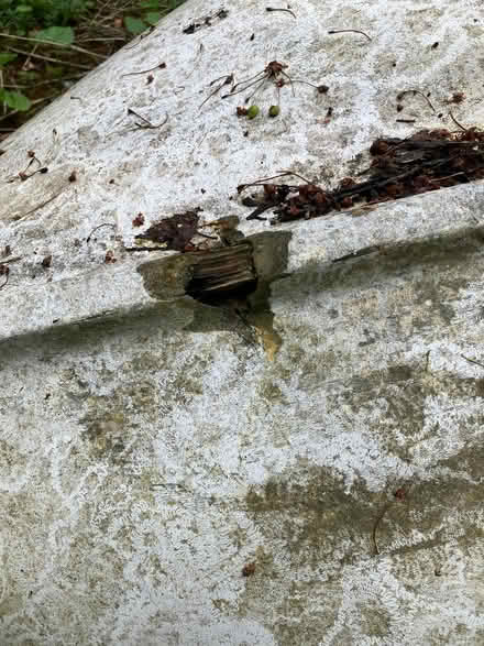 Photo of free Boat Trailer with Fibreglass Dinghy (Catchgate Plantation NN12) #3