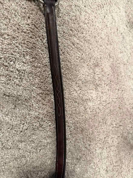 Photo of free Standing martingale (Ballard) #4