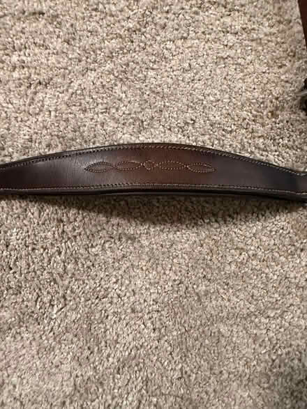 Photo of free Standing martingale (Ballard) #2