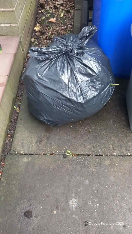 Photo of free Hedge trimmings for compost (Cobridge ST1) #2
