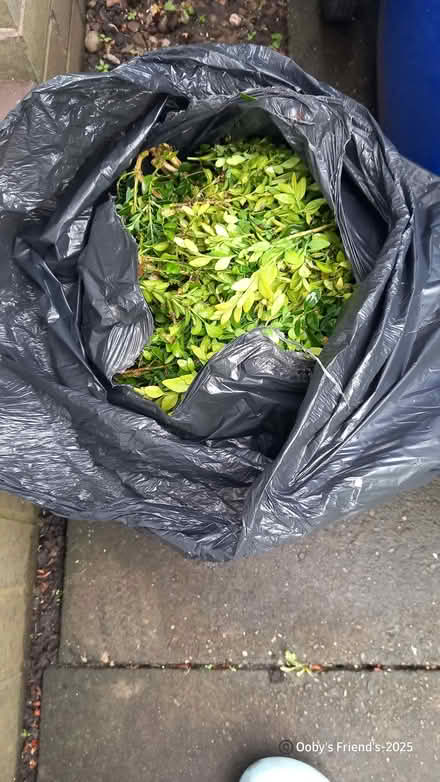 Photo of free Hedge trimmings for compost (Cobridge ST1) #1