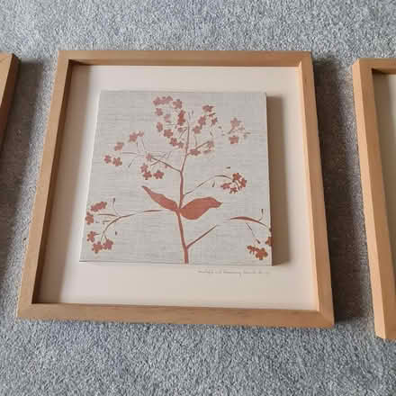 Photo of free Set of pictures (Killester, Dublin 5) #3