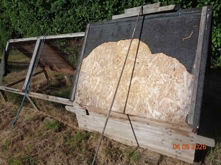 Photo of free Hen House and Chicken/Poultry run (TQ12 4QX) #3