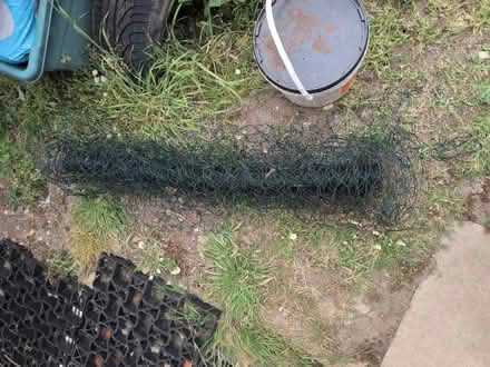 Photo of free Chicken wire (New Malden, KT3) #1