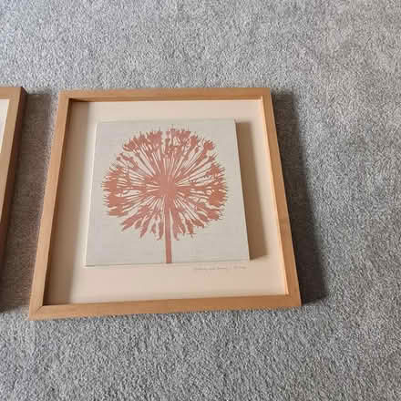Photo of free Set of pictures (Killester, Dublin 5) #4