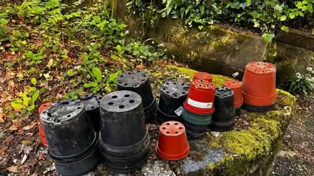 Photo of free Plant pots (Tq9 6hg) #2