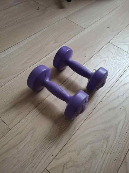 Photo of free Set of 1.5kg dumbells (Thamesmead SE28) #2