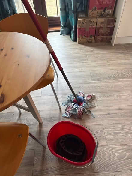 Photo of free Vileda mop and bucket (MacMillan Way) #1