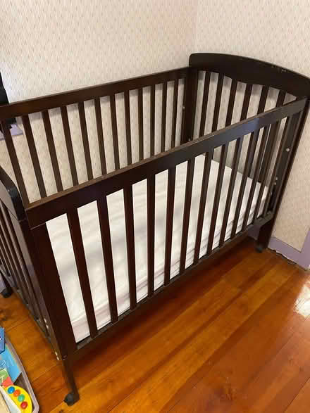 Photo of free Cot (Mount Gravatt/Holland Park) #2