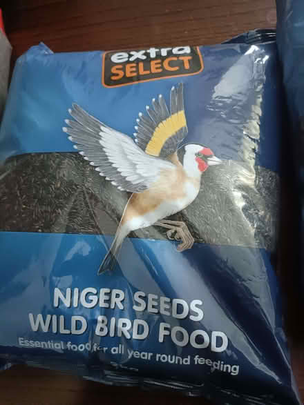 Photo of free Niger Bird Seeds (Bowbridge GL5) #1
