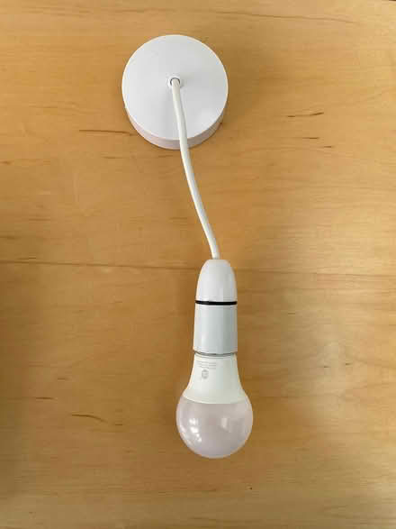 Photo of free New light pendants and bulbs (Farnborough GU14) #1