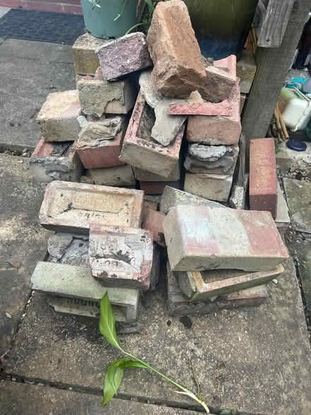 Photo of free some old bricks (Kentwood RG30) #1