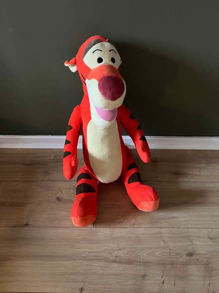 Photo of free Big Tigger (Bromsgrove B61) #1