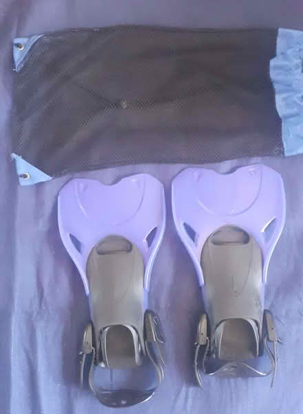 Photo of free Swimming flippers (Didsbury M20) #1