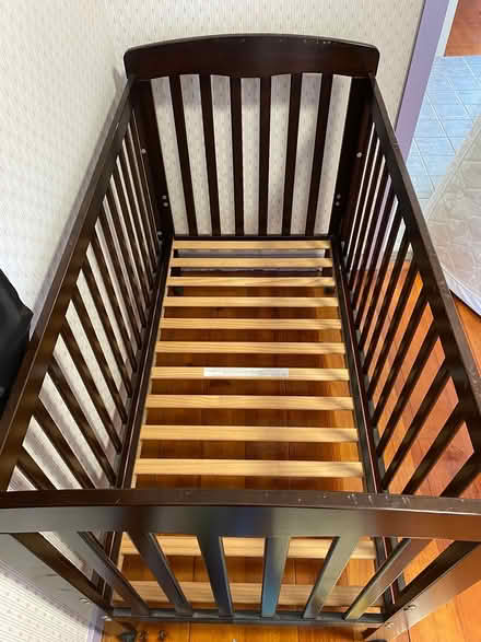 Photo of free Cot (Mount Gravatt/Holland Park) #1