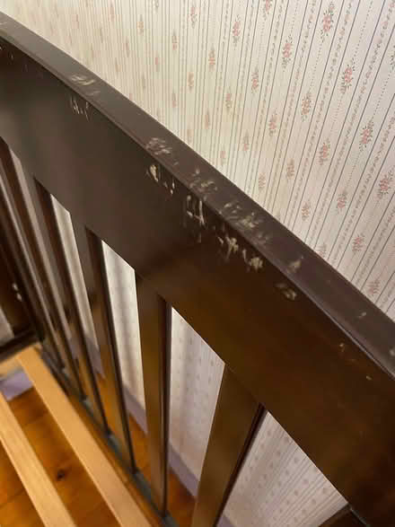 Photo of free Cot (Mount Gravatt/Holland Park) #3