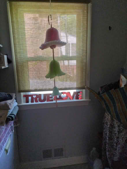 Photo of free Bridal decorations (shady grove and 355) #3