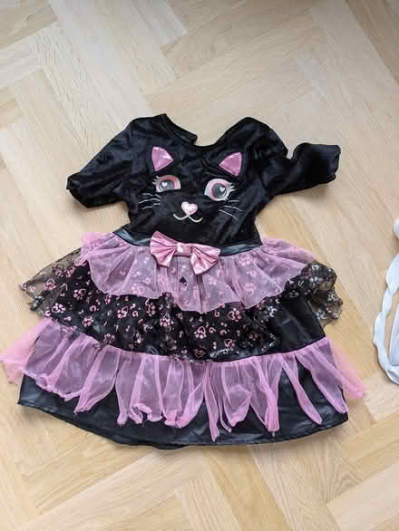 Photo of free Cat costume (Thorpe bay SS1) #1