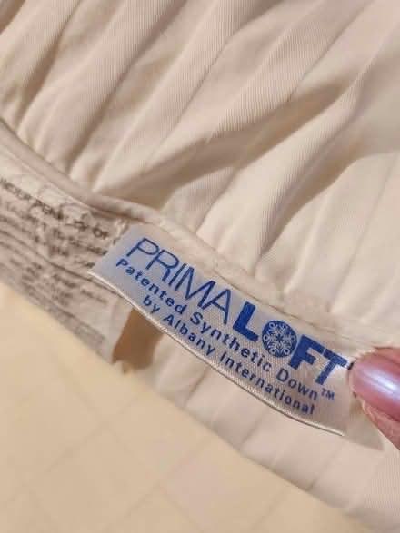Photo of free Old pillows (Central San Rafael) #2