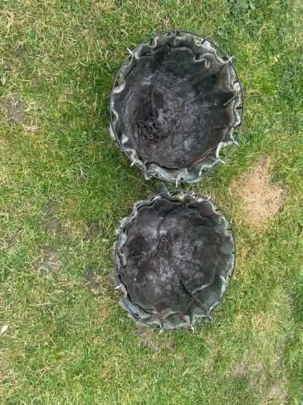 Photo of free 2 Hanging baskets (Sunnyside NN2) #2